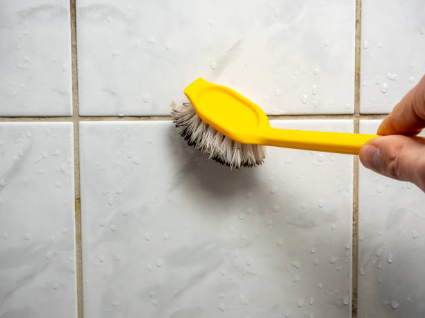 Best Mold Remediation for Specific Building Types in Mount Sterling, IL